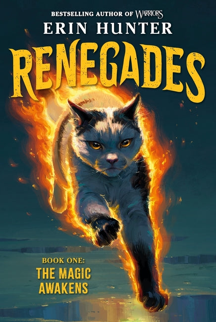 Renegades #1: The Magic Awakens - Ingram