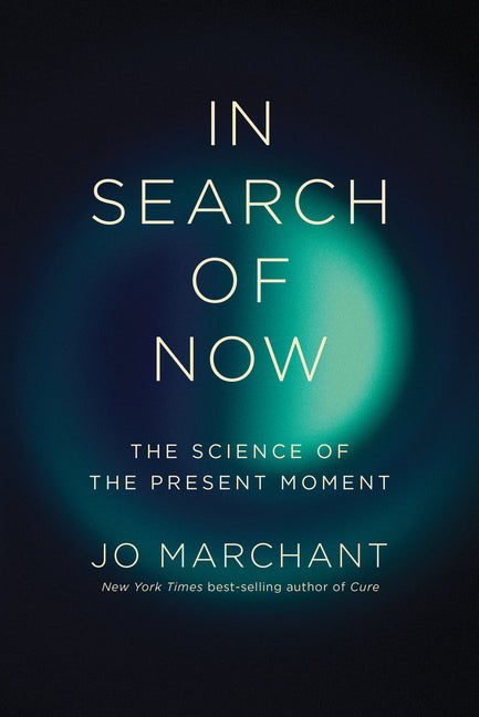 In Search of Now: The Science of the Present Moment - Ingram
