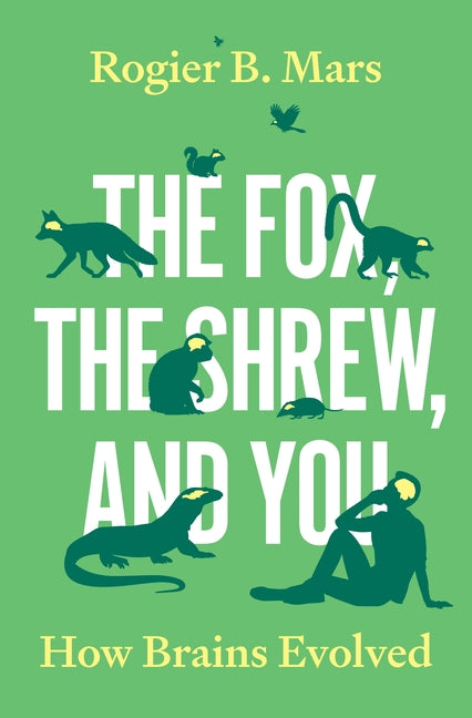 The Fox, the Shrew, and You: How Brains Evolved - Ingram